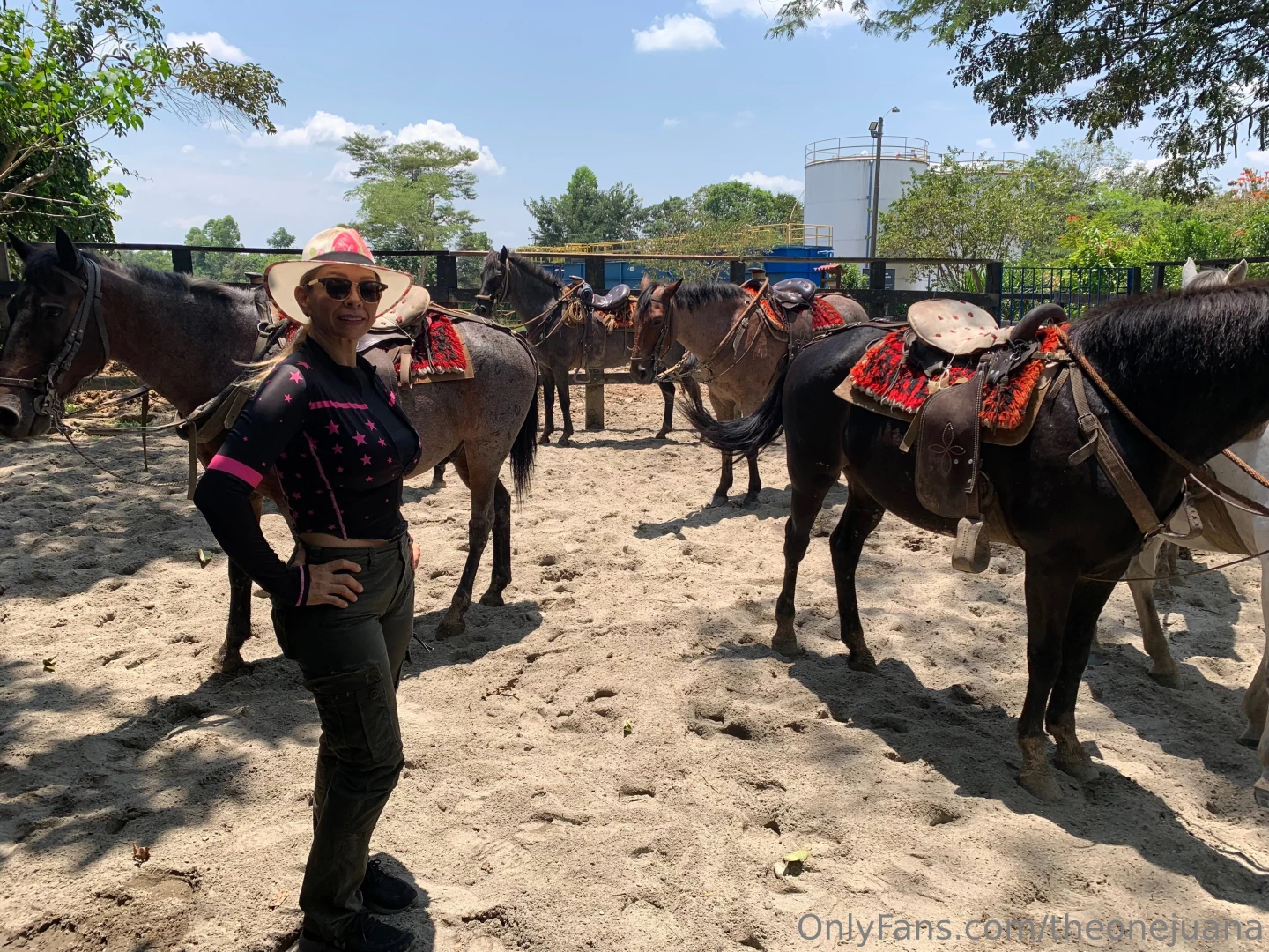 I dare you to slide into my dms let s see just how wild this ride can 