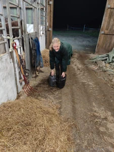 I love working in the stable it s in the stable together with my