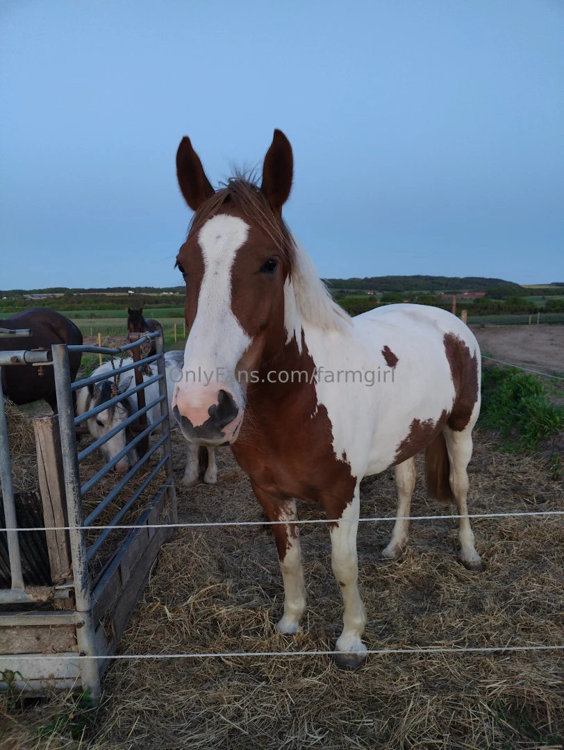 My riding arena is getting a little makeover it s being leveled out to part 2 