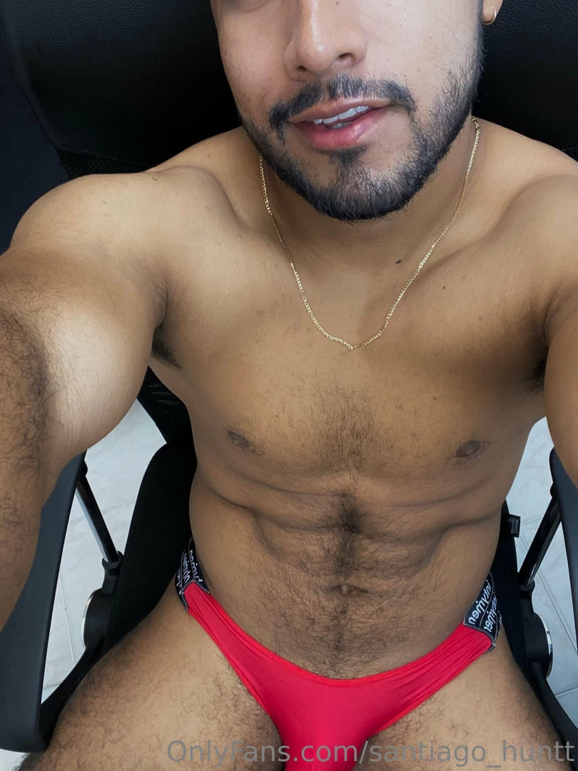 Santiago-huntt part 122688 