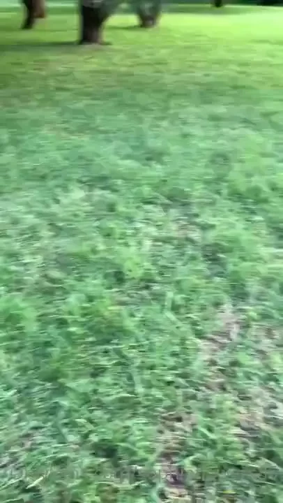 Who said walks can t be fun well maybe up to the point of almost 