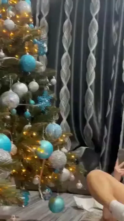 Your gift under the tree 