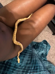 I love my baby boy