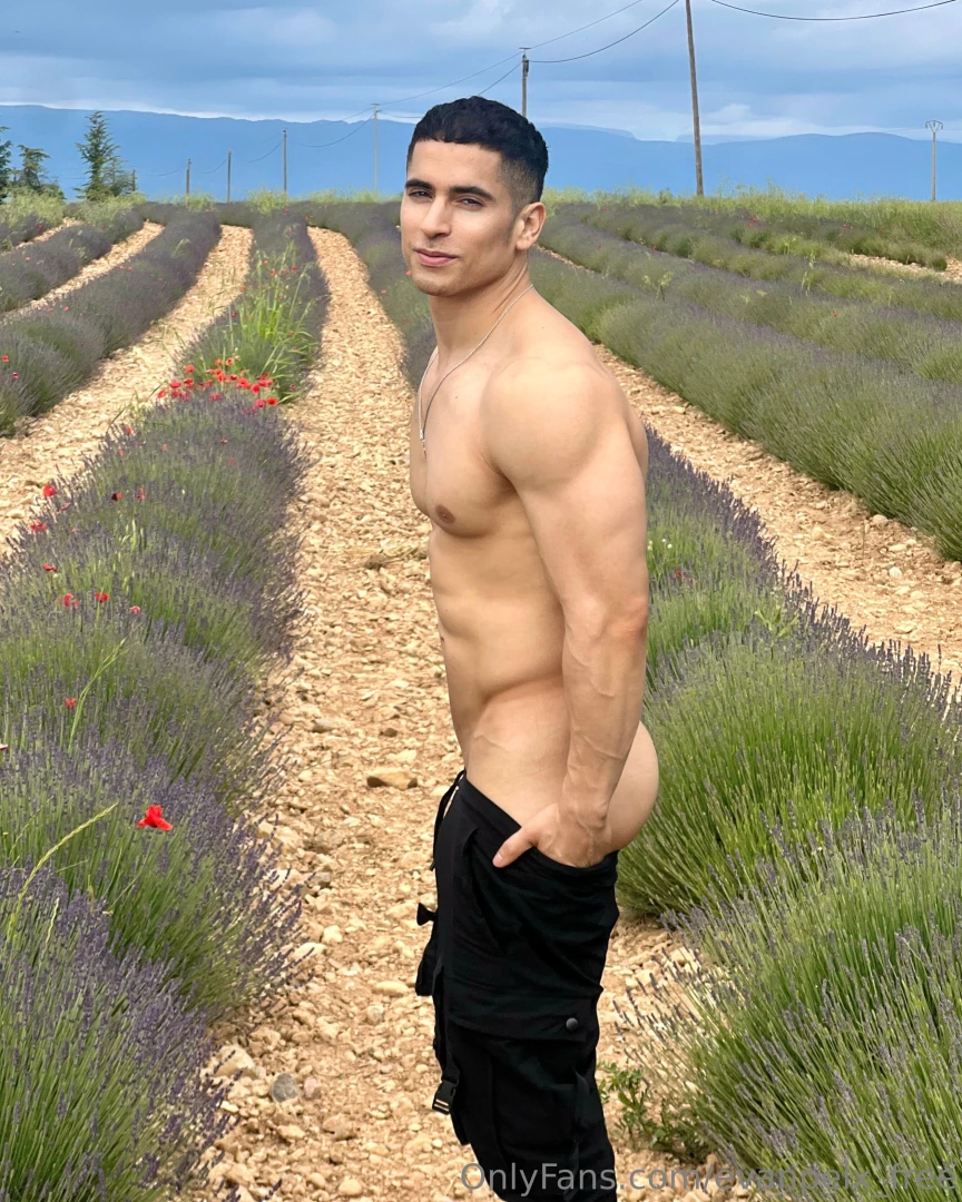 Wish you were here evanpeix 