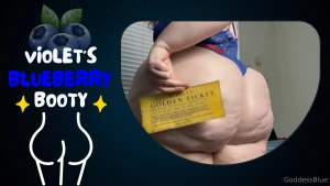 I ve got the golden ticket ever since i won the golden ticket i ve