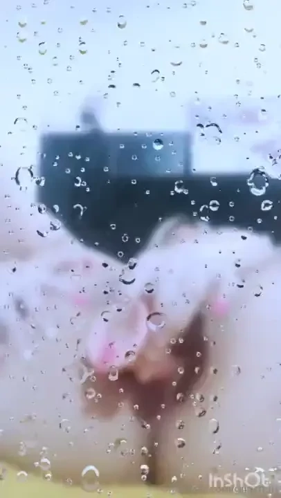 Anal worship jerk off while dreaming about my tight anal hole my anal 