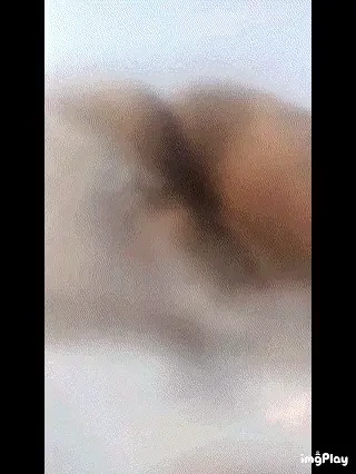 Took the ben wa balls out 