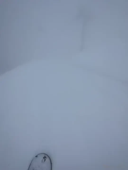 Snowboarding wisdom of the day life is a combination of watching your 