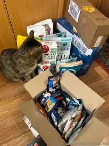 Goooooo day if you thought that i forgot to make a little report of part 3