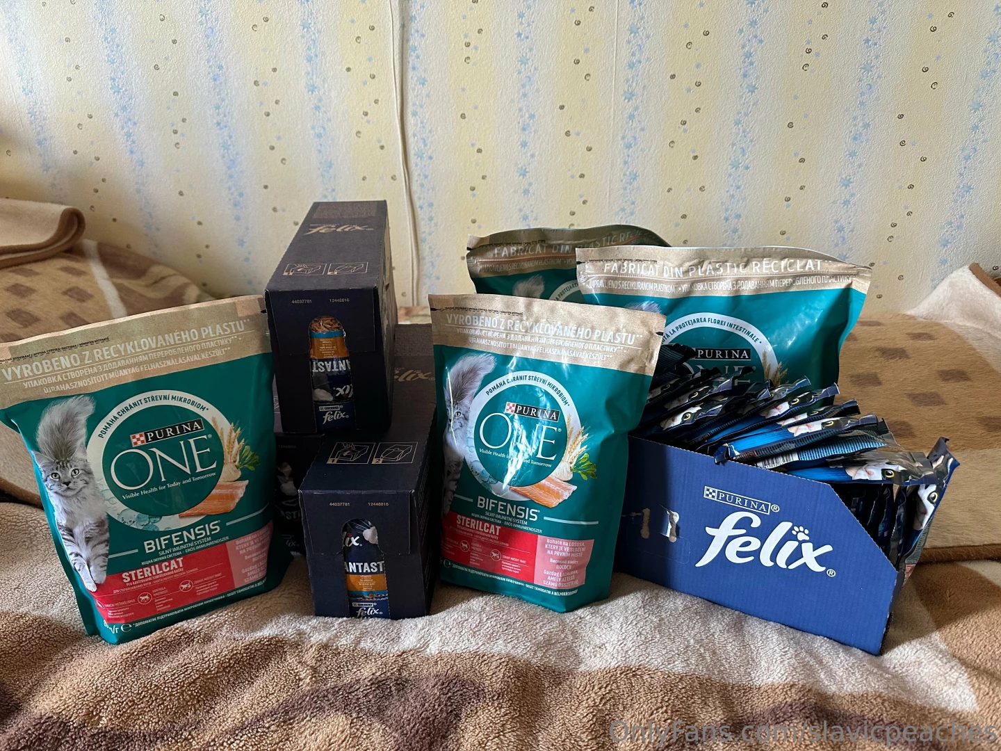 Goooood day today i want to say thanks each who tipped on my stream 