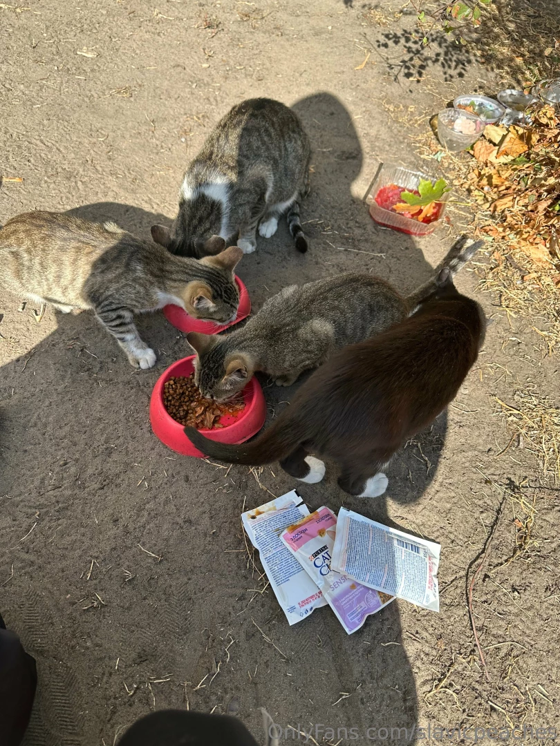 Goooood day today i want to say thanks each who tipped on my stream part 2 