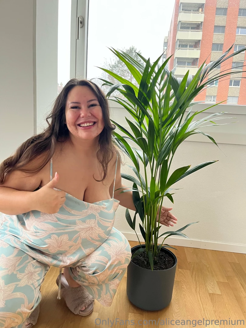 Someone got me a new plant baby for my birthday it made me really part 1 