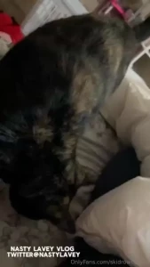 Vlog vault part 1 6 1 censored version nastylavey uncensored and long