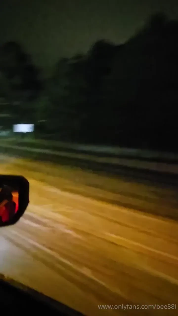 Snow dog babies doing donuts and climbing hills in the truck 