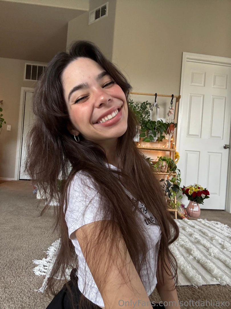 Softdahliaxo 