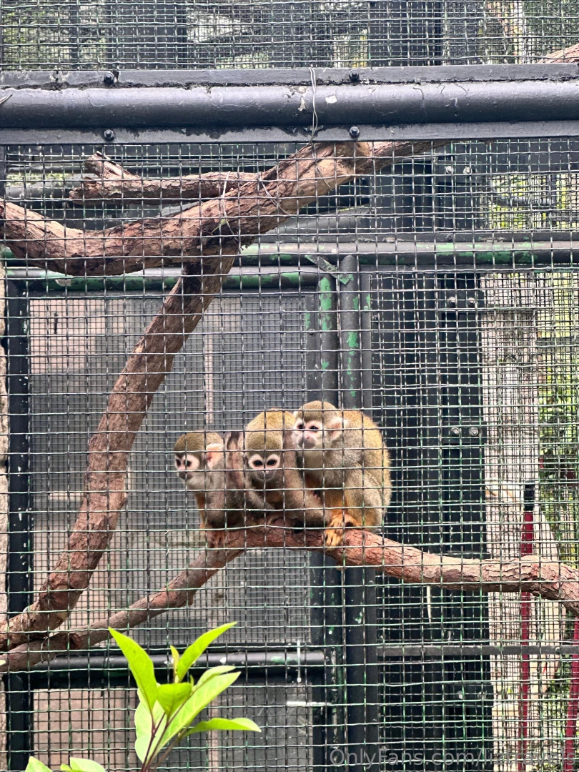 Sadly i m only in hong kong for a few days as i have a really exciting 