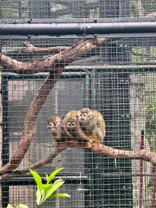 Sadly i m only in hong kong for a few days as i have a really exciting