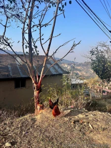 Doing a 10 mile 8 hour hike so so cool part 1