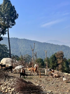 The coolest hike ended up getting so hot haha but it was so cold in part 1