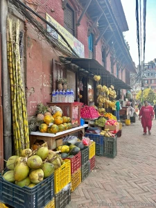 Can anyone guess where this is monkey robbed me my first day grabbed part 1