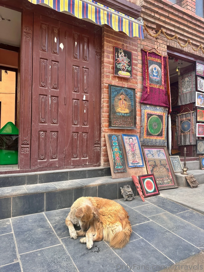 Can anyone guess where this is monkey robbed me my first day grabbed part 3 