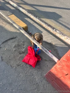 Can anyone guess where this is monkey robbed me my first day grabbed part 2