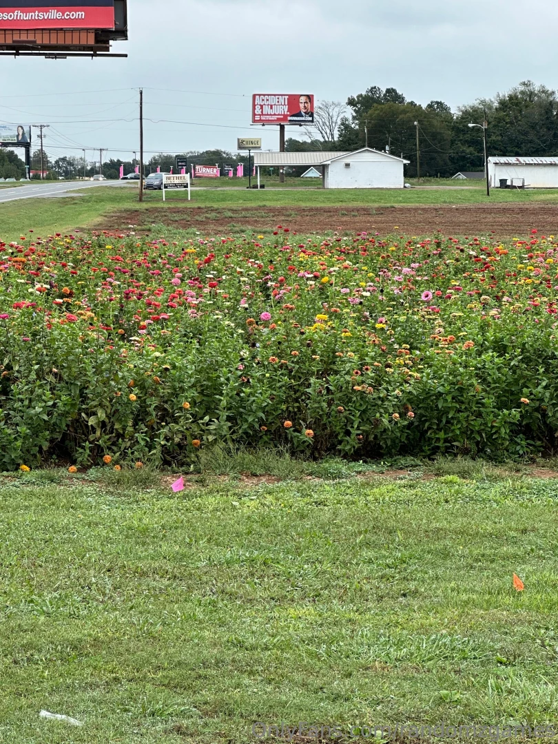 Some fresh air to kick off the week part 1 