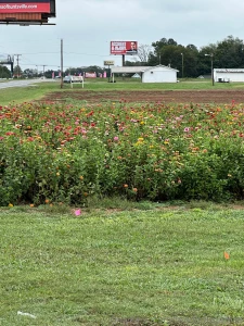 Some fresh air to kick off the week part 1