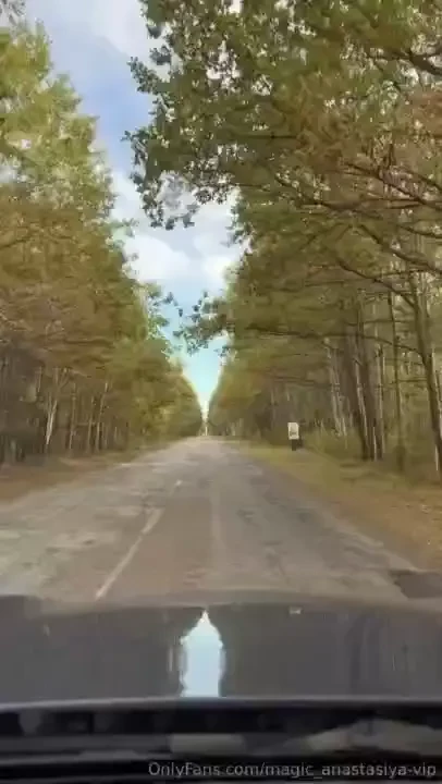 Walk through the forest and pick mushrooms and also for my favorite part 1 