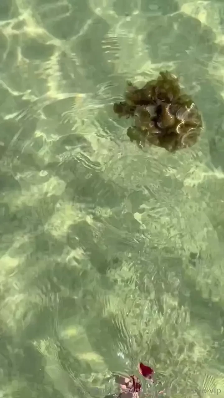 Let s go swimming viu part 1 