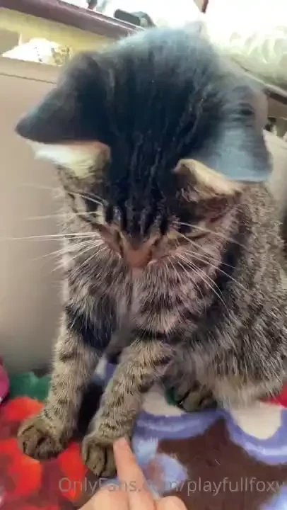 Playfullfoxy part 41 