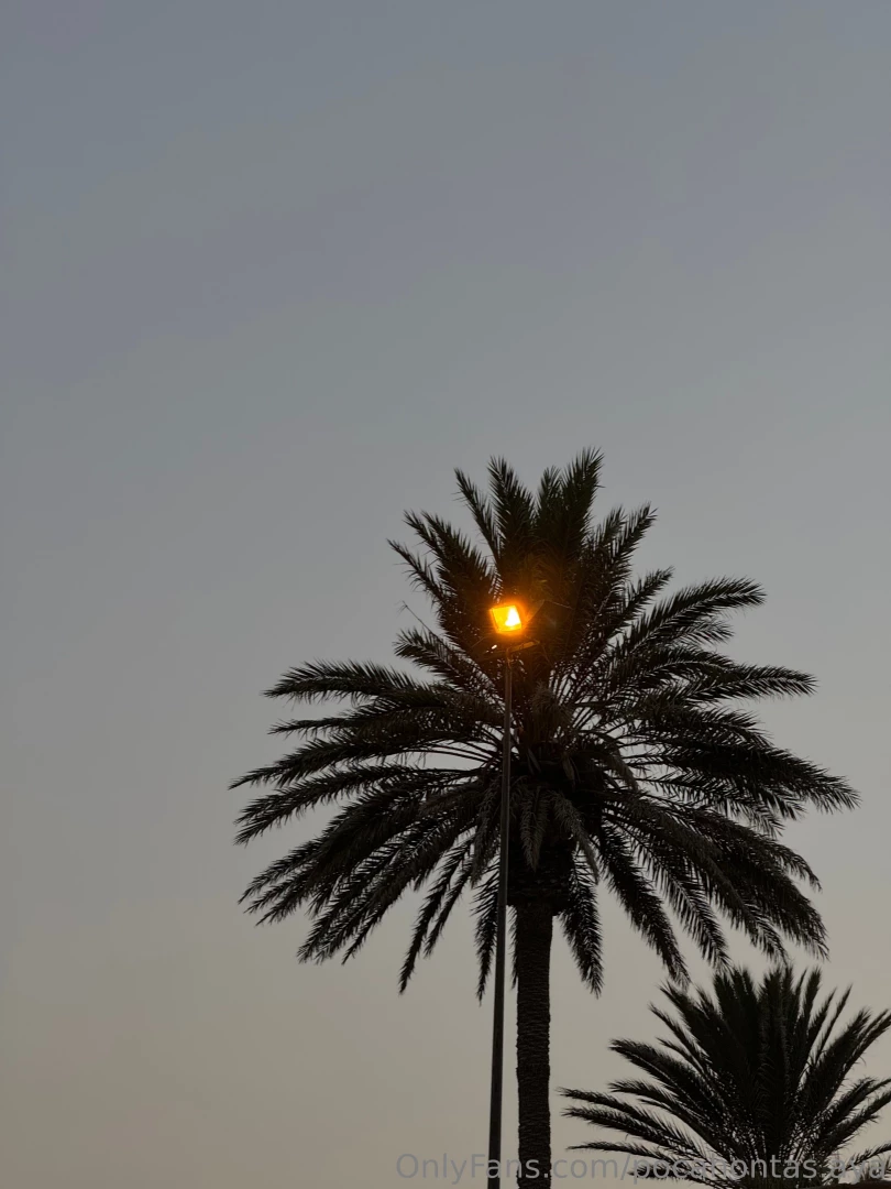 A day off is that long-awaited day that should be filled with calmness 