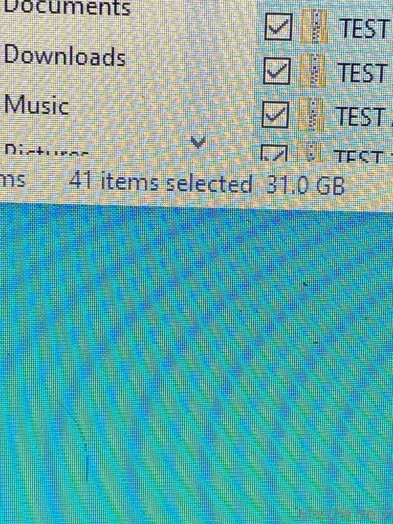 So i ve been terribly negligent about backing up all my titty pics 