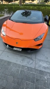 Which one should i pick for tonight boys