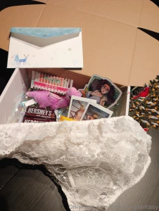 Christmas goodie boxes are available now for the holidays get yours part 1