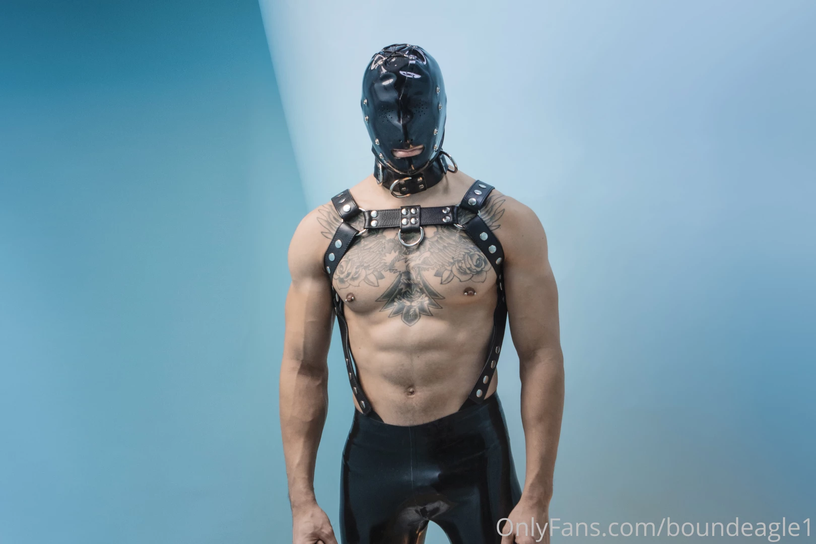 Merry christmas part 1017 