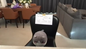 The recorded version of the stream i couldn t have left you guys who