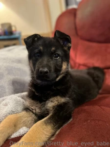 Look what i was surprised with help me spoil my new baby boy part 3