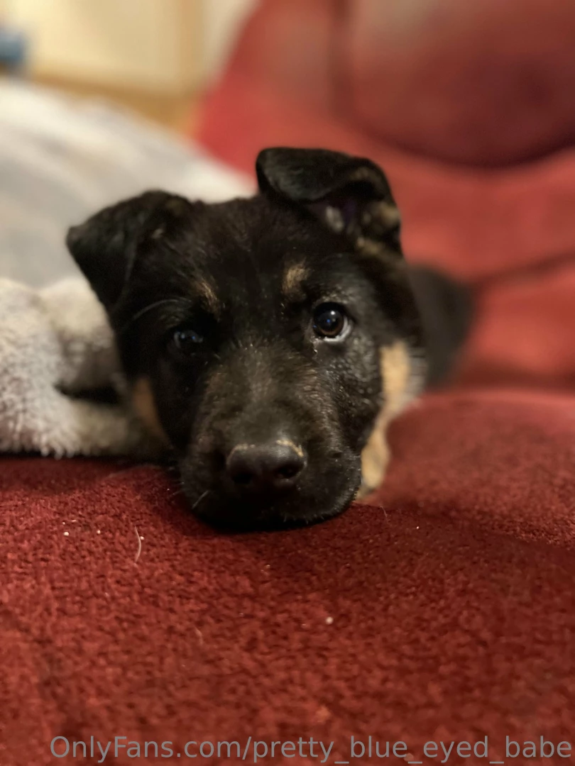 Look what i was surprised with help me spoil my new baby boy 