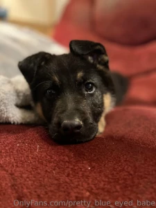 Look what i was surprised with help me spoil my new baby boy