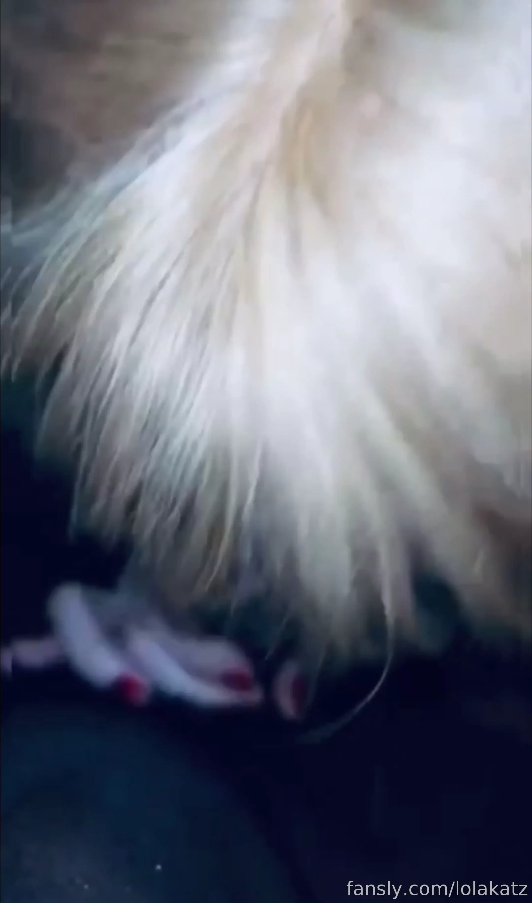 There you go- me on my knees sucking that big black cock like it s 