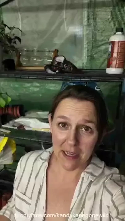 Check in it s been awhile since i ve checked in work was crazy but 