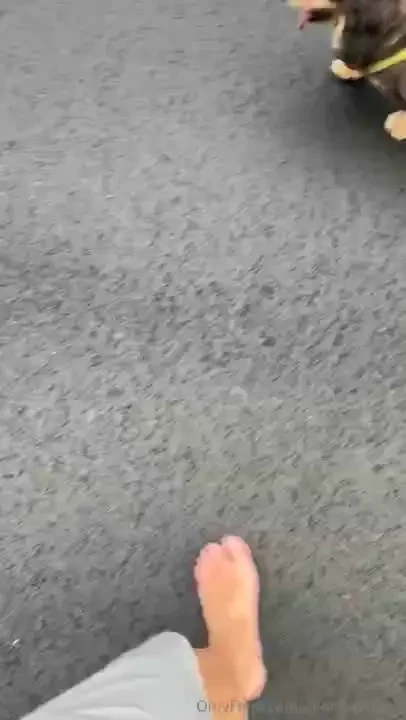 Walk with my cute dachshund 