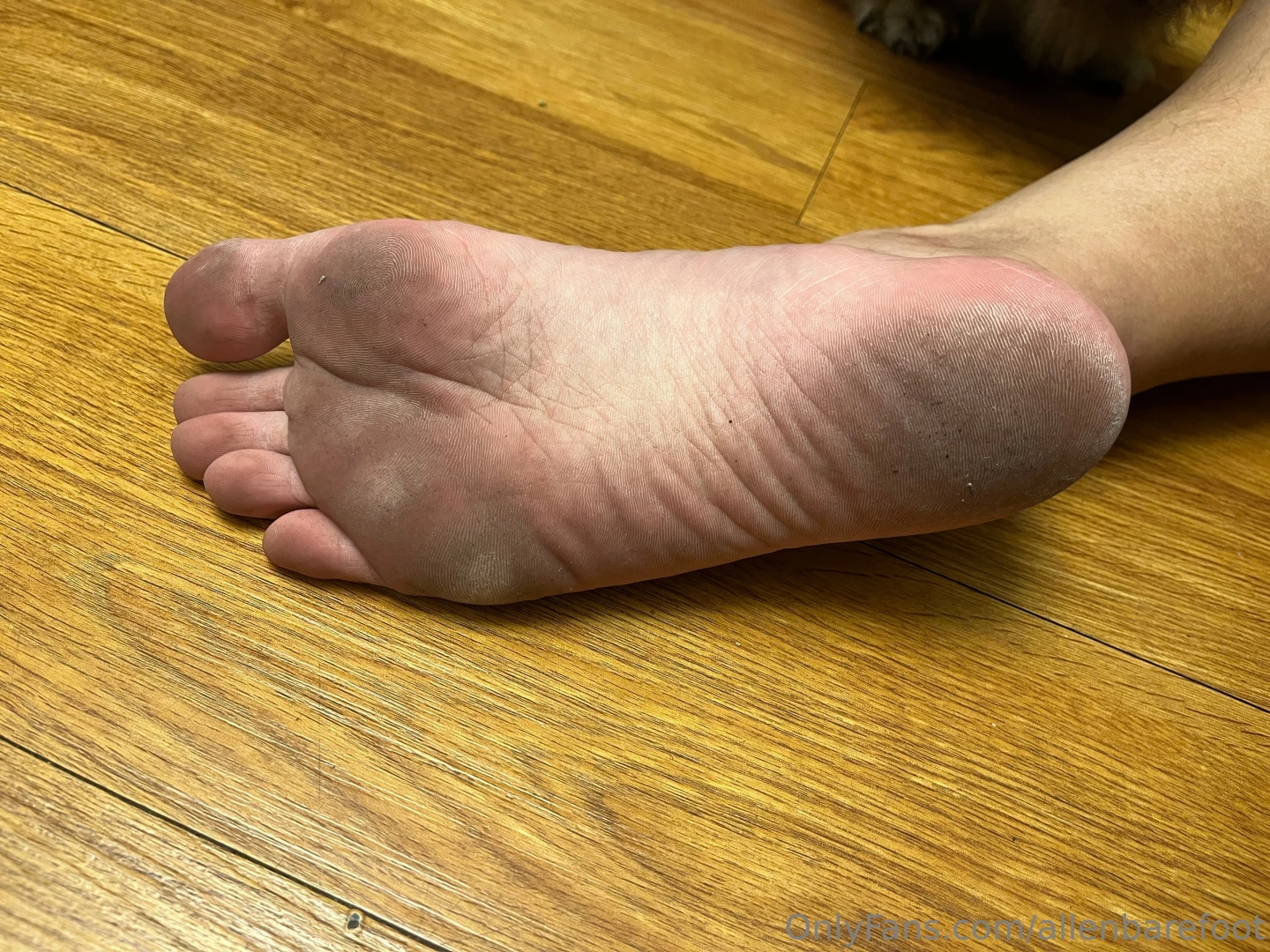 Mar 27 soles today - 2 swipe right to see the video 