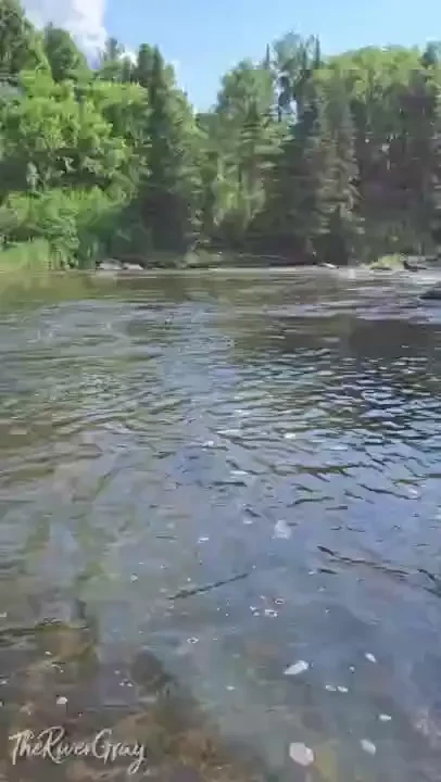 Wanna go swimming with me rivergray outdoor nature bikini bush hairy part 1 