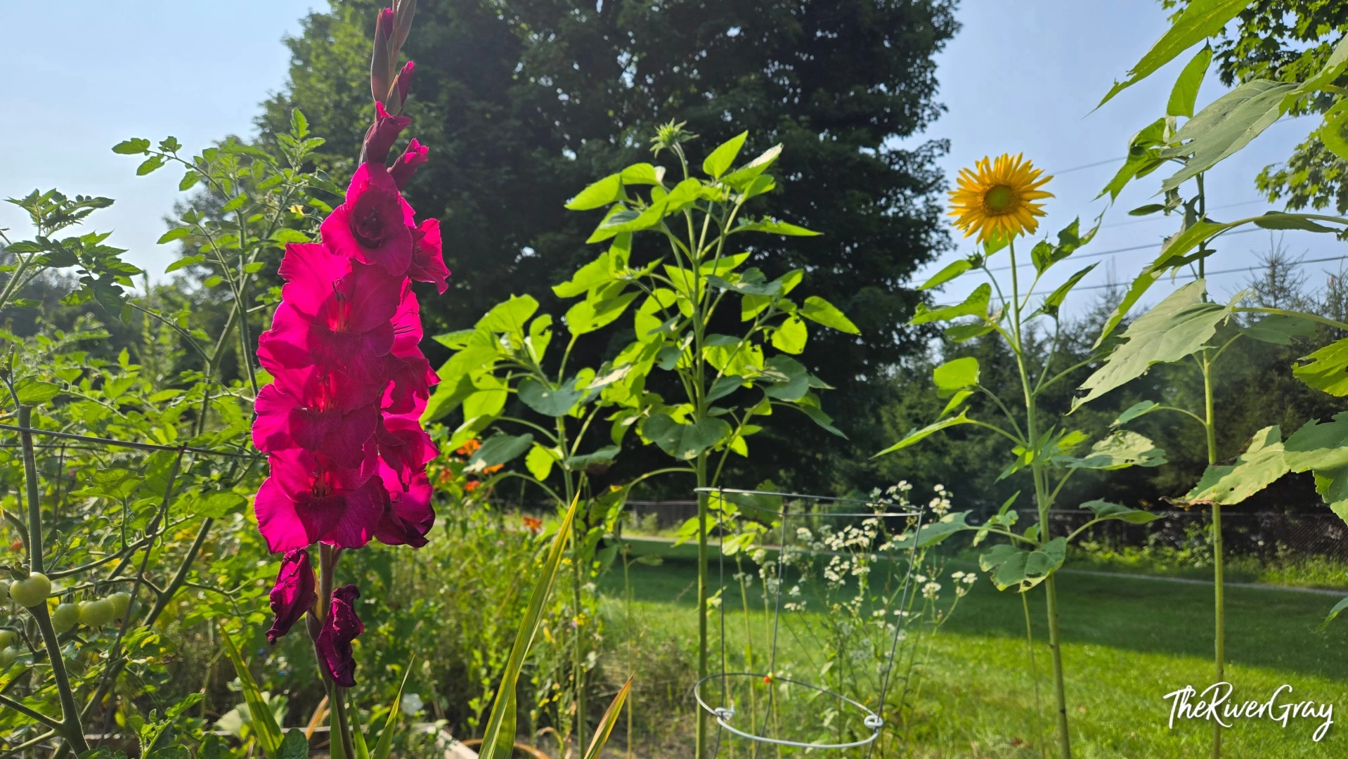 Happy monday what did you get up to this weekend i spent the weekend part 3 