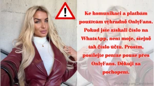 I use onlyfans exclusively for communication and payments if you