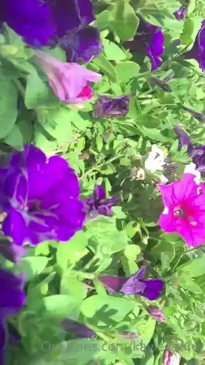 Missscarletletter part 96 