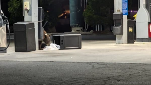 I started my day freezing in the mountains saw a bear at the gas part 6