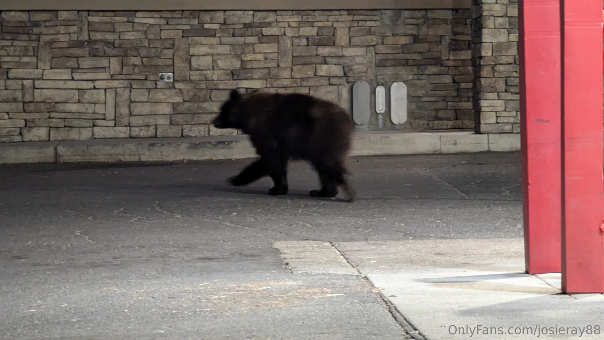 I started my day freezing in the mountains saw a bear at the gas 